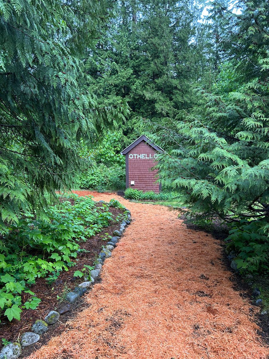 A forest path leading to the cabins